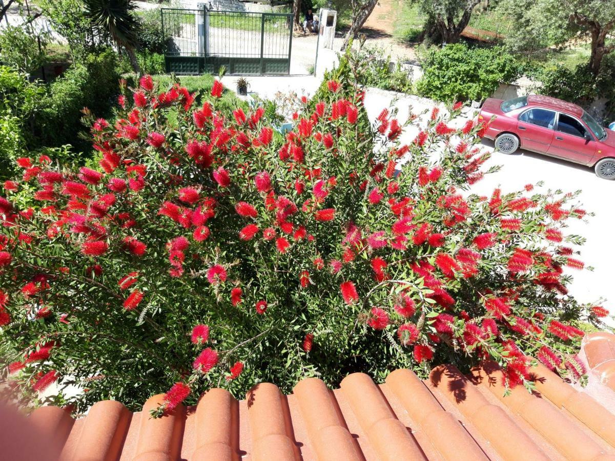 Vila Zogaj Ksamil Bagian luar foto